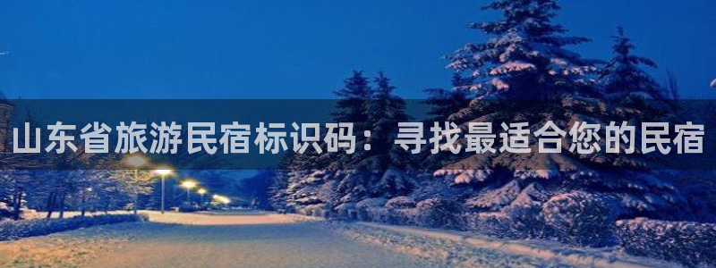 球盟会com|山东省旅游民宿标识码：寻找最适合您的民宿