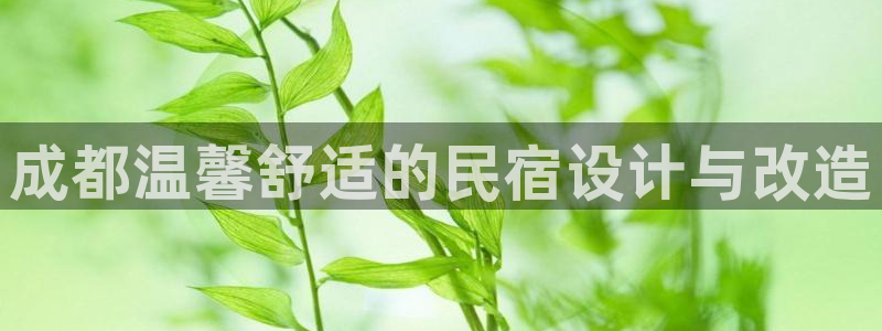 球盟会官网登录平台|成都温馨舒适的民宿设计与改造